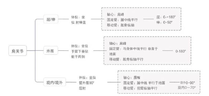 解剖学重点知识归纳