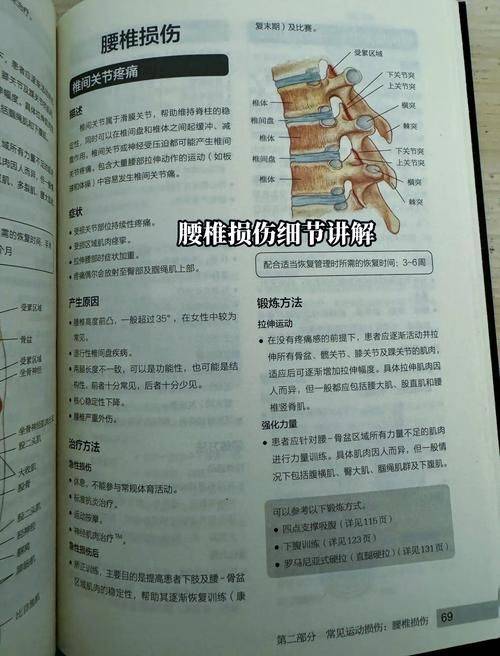 解剖学重点知识归纳