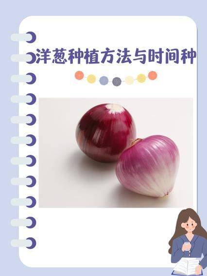 幼儿园洋葱的种植方法