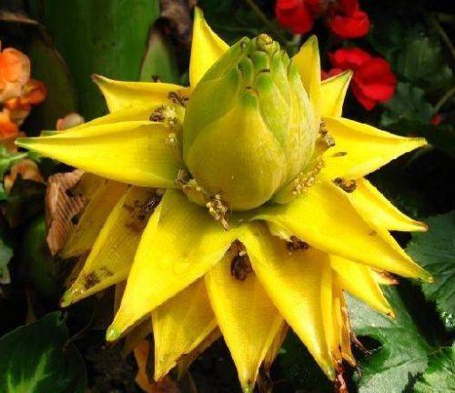 Methodologies and care for leeching