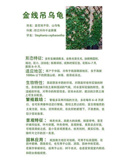 What plants can we plant in wetlands