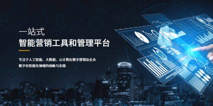 东营seo网站推广费用