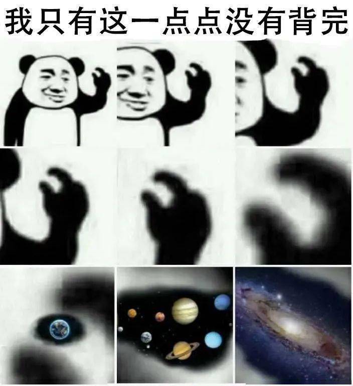 解剖学重点知识归纳