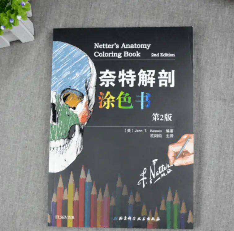 解剖学重点知识归纳