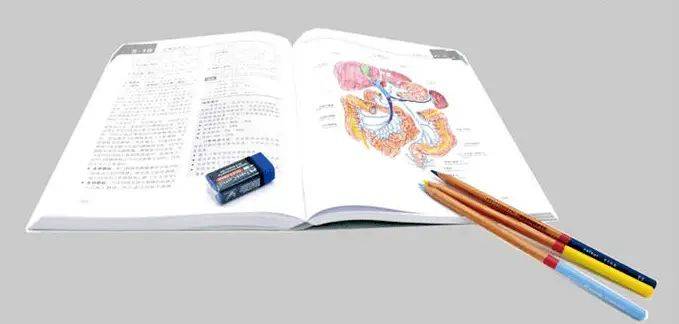 解剖学重点知识归纳