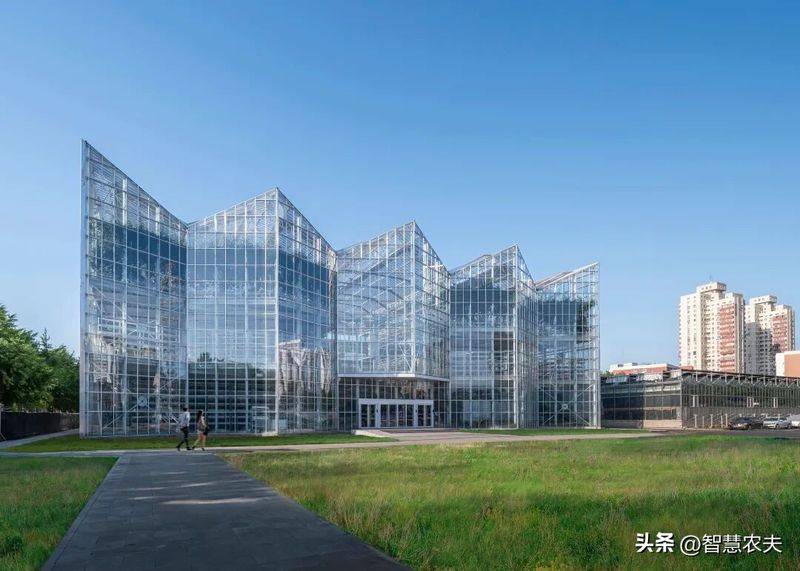 Greenhouse watermelon cultivation techniques