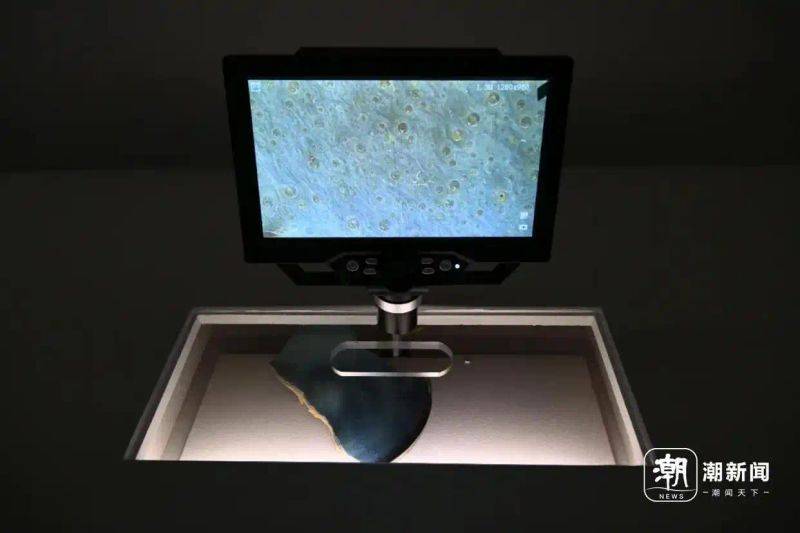 The south song cong cong shae character