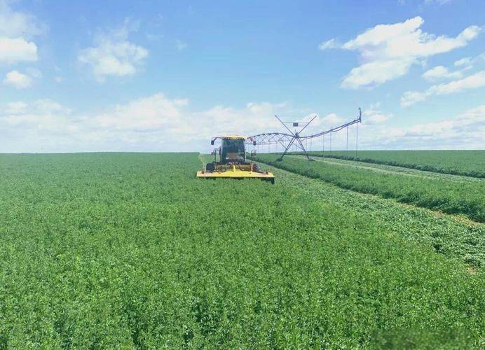 Straw cultivation methods