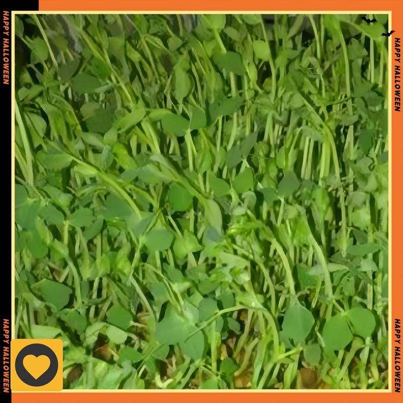 Straw cultivation methods