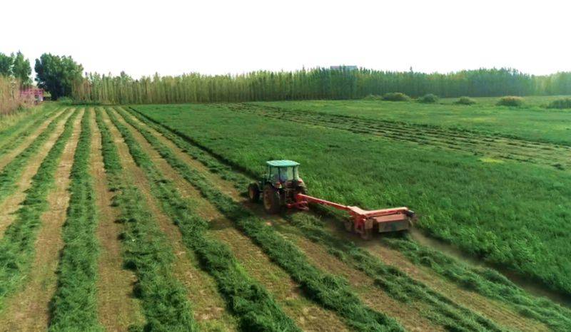 Straw cultivation methods