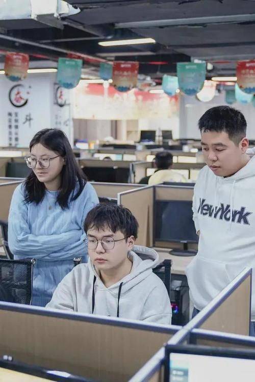 The shenyangseo case