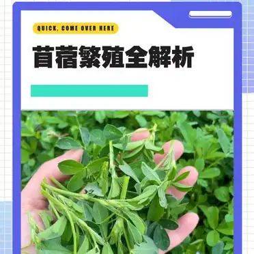 Straw cultivation methods