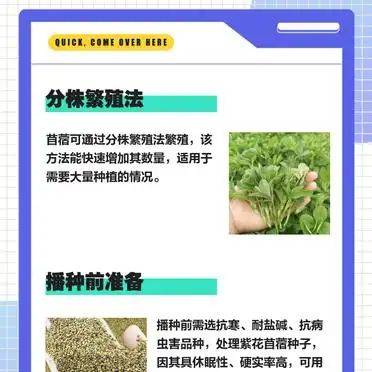 Straw cultivation methods