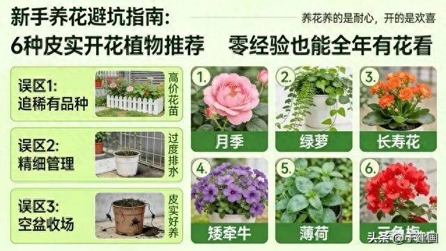 What kind of plants do you grow on the balcony