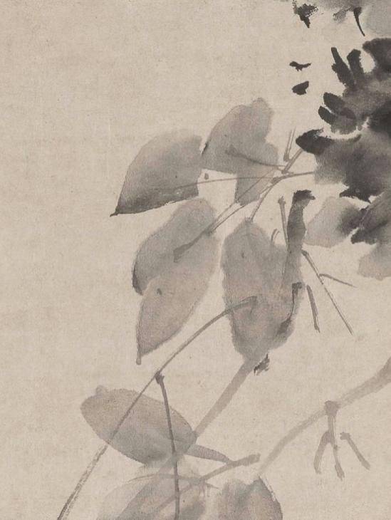 The south song cong cong shae character