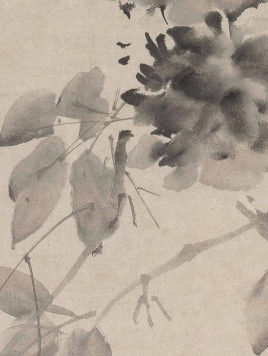 The south song cong cong shae character