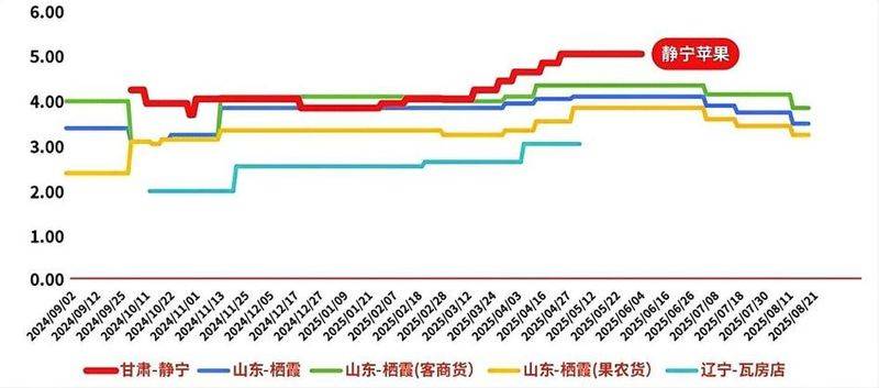 A video of the technology used to grow gills