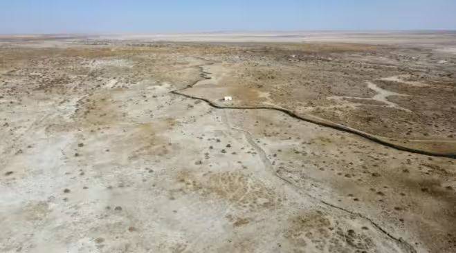 Video of mushroom cultivation