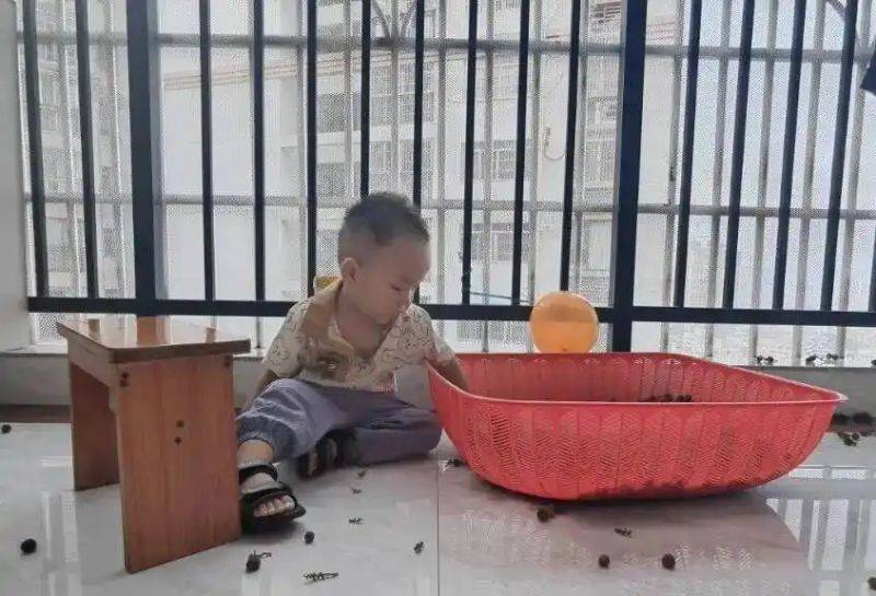 Childcare small knowledge sharing