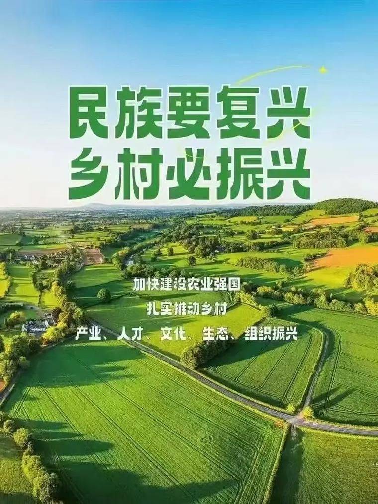 Provence tomato cultivation technology