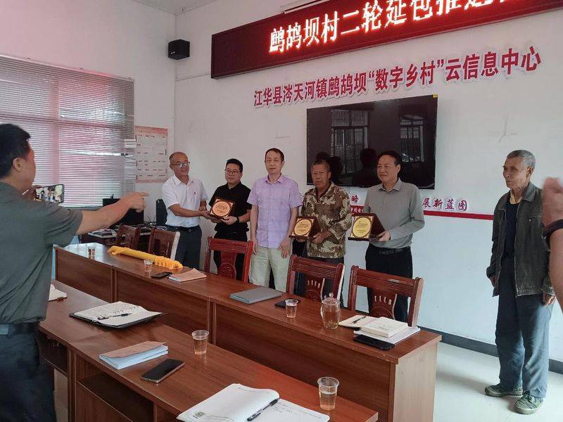 Provence tomato cultivation technology