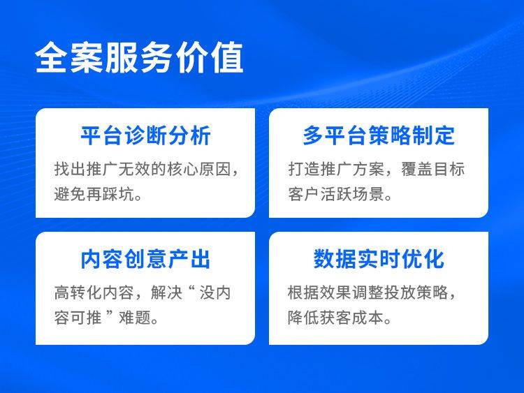 The shenyangseo case