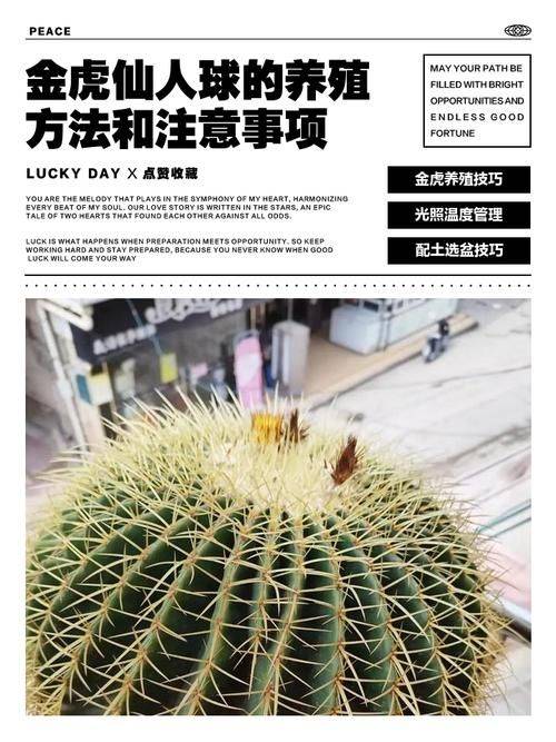 The way the monkeys grow