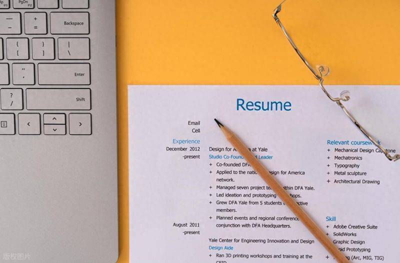 Seo curriculum vitae template
