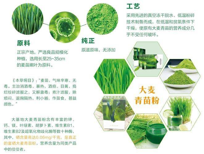 Technology for black wheat cultivation