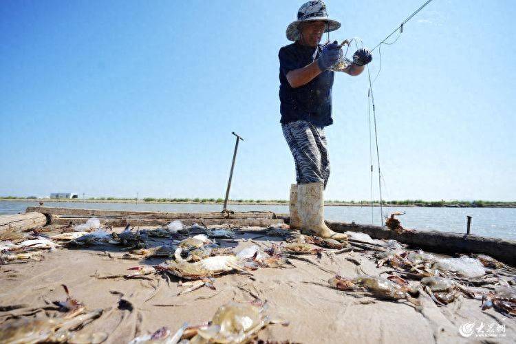 Is it expensive to have a box with crabs