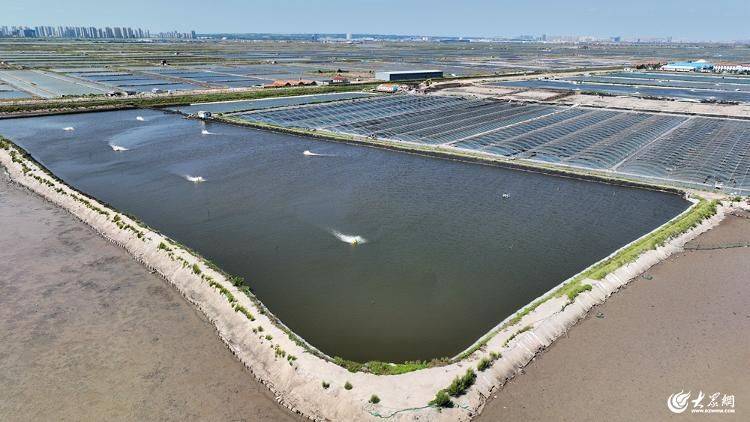 Is it expensive to have a box with crabs