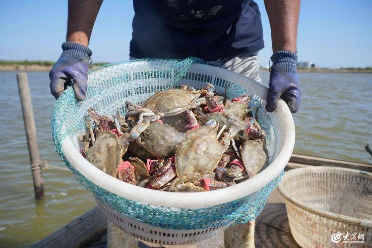 Is it expensive to have a box with crabs