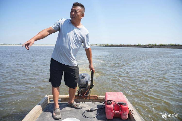 Is it expensive to have a box with crabs