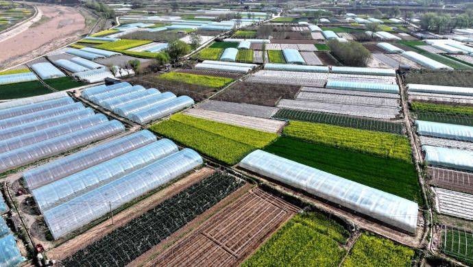 Autumn potato cultivation technology