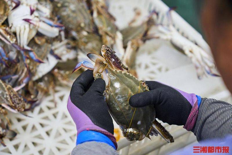 Is it expensive to have a box with crabs