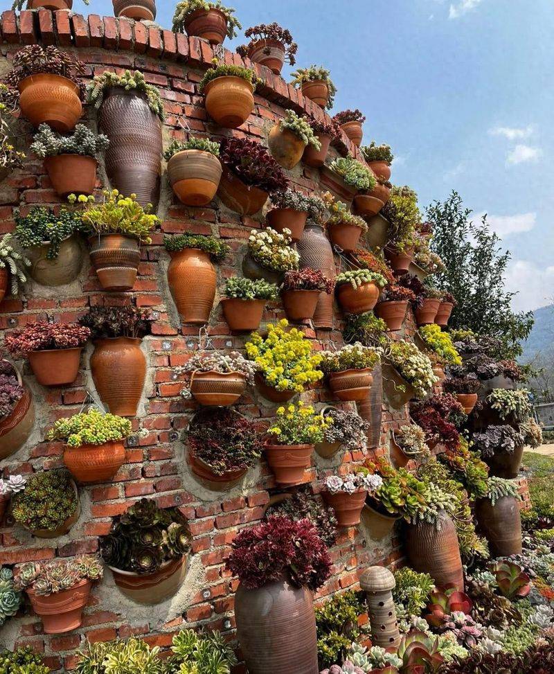 Plantation in the frame