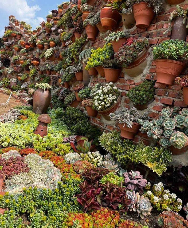 Plantation in the frame