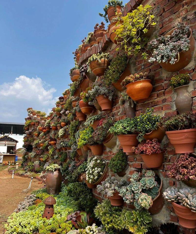 Plantation in the frame