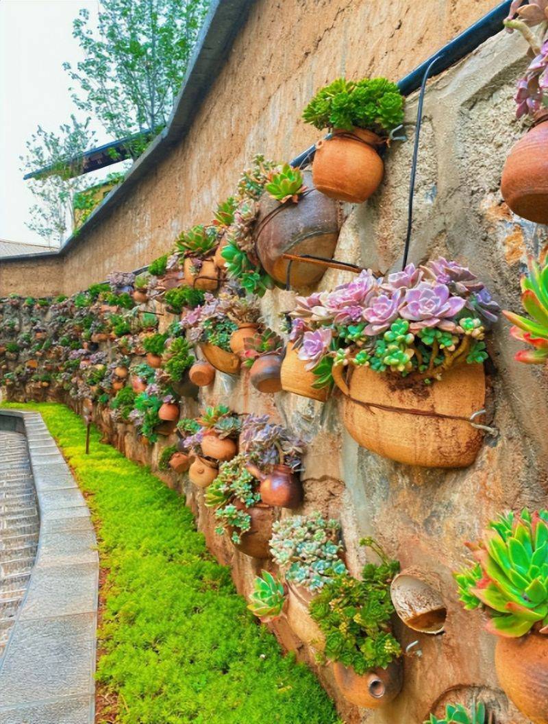 Plantation in the frame