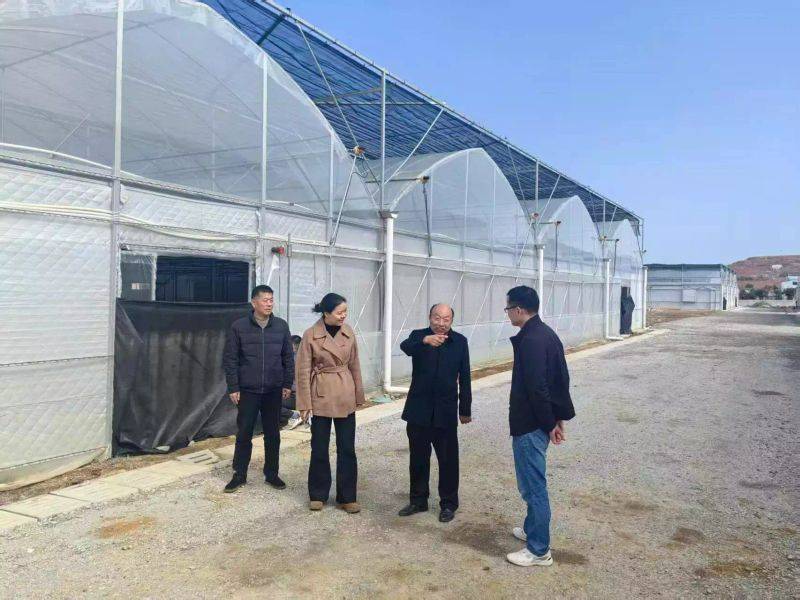 Technology for mushroom shed cultivation