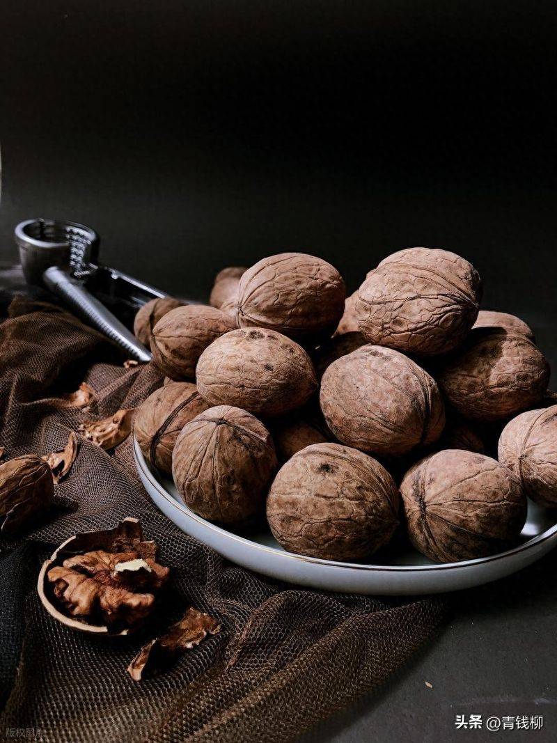 Man plays with walnut tree seedlings