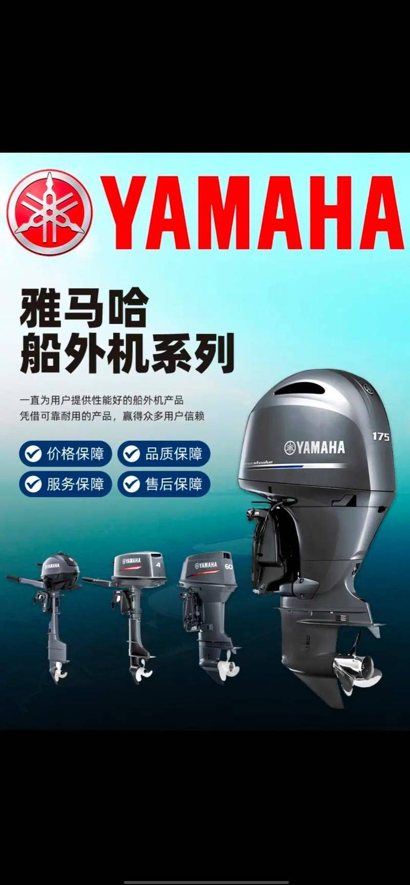 Biadif6 maintenance manual