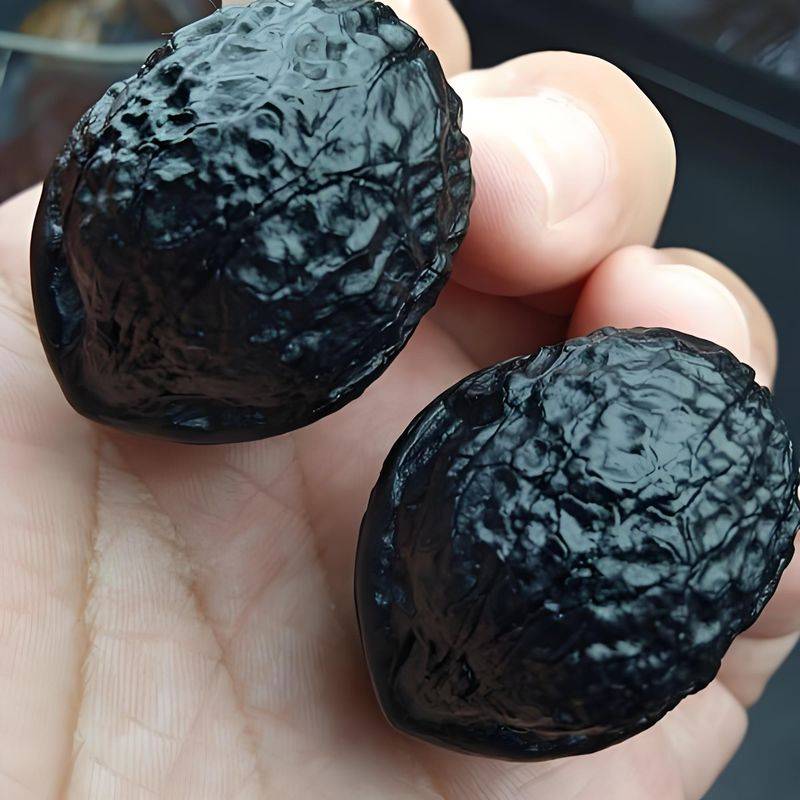 Man plays with walnut tree seedlings