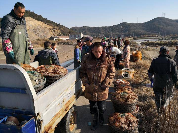 Is it expensive to have a box with crabs