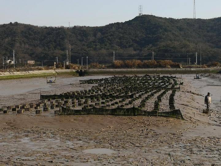 Is it expensive to have a box with crabs