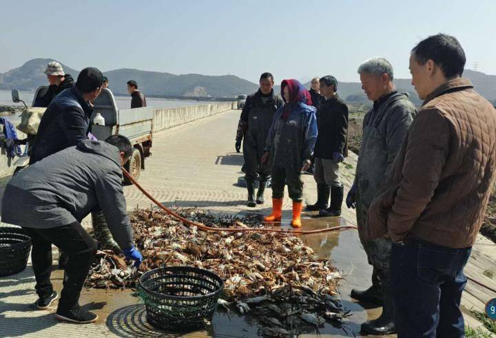 Is it expensive to have a box with crabs