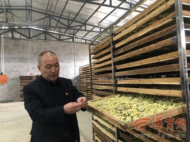 Autumn potato cultivation technology