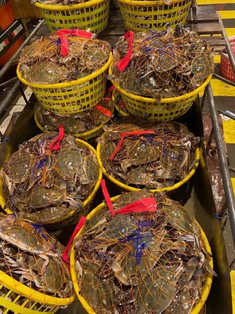 Is it expensive to have a box with crabs