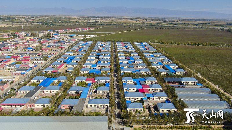 Plantation techniques for flamingo