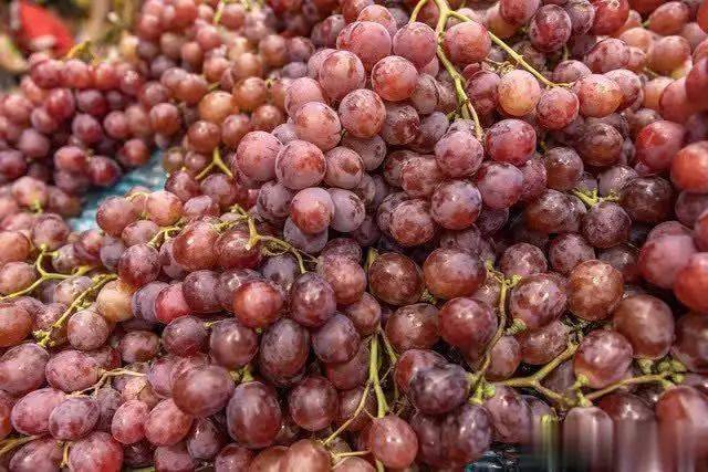 The land of the giant raisins